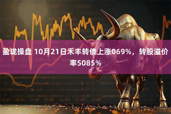 盈珑操盘 10月21日禾丰转债上涨069%，转股溢价率5085%