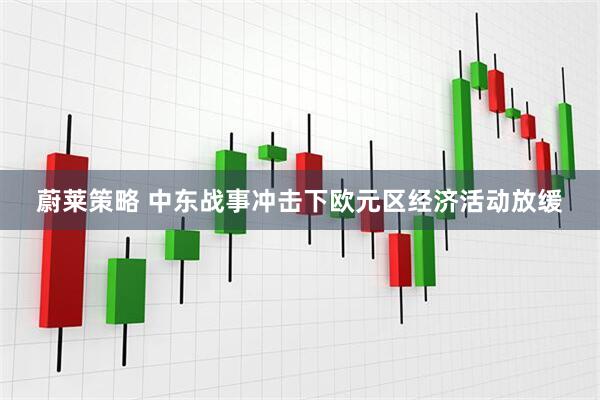 蔚莱策略 中东战事冲击下欧元区经济活动放缓