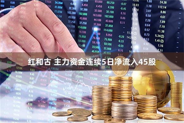 红和古 主力资金连续5日净流入45股