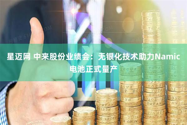 星迈网 中来股份业绩会：无银化技术助力Namic电池正式量产